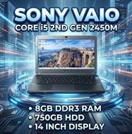 sonyVaiio.jpg